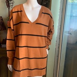 Loft Plus Strip V-Neck Sweater